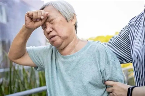 细节介绍